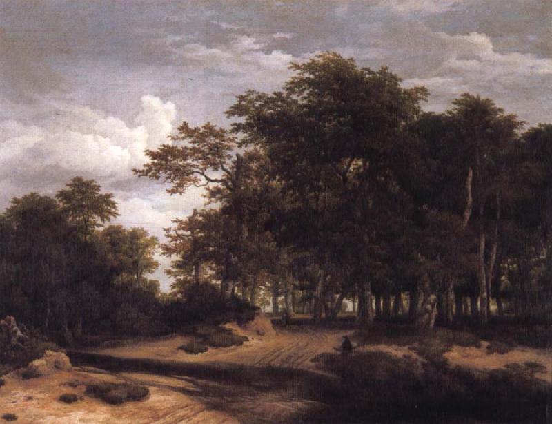 Jacob van Ruisdael The Great forest Germany oil painting art